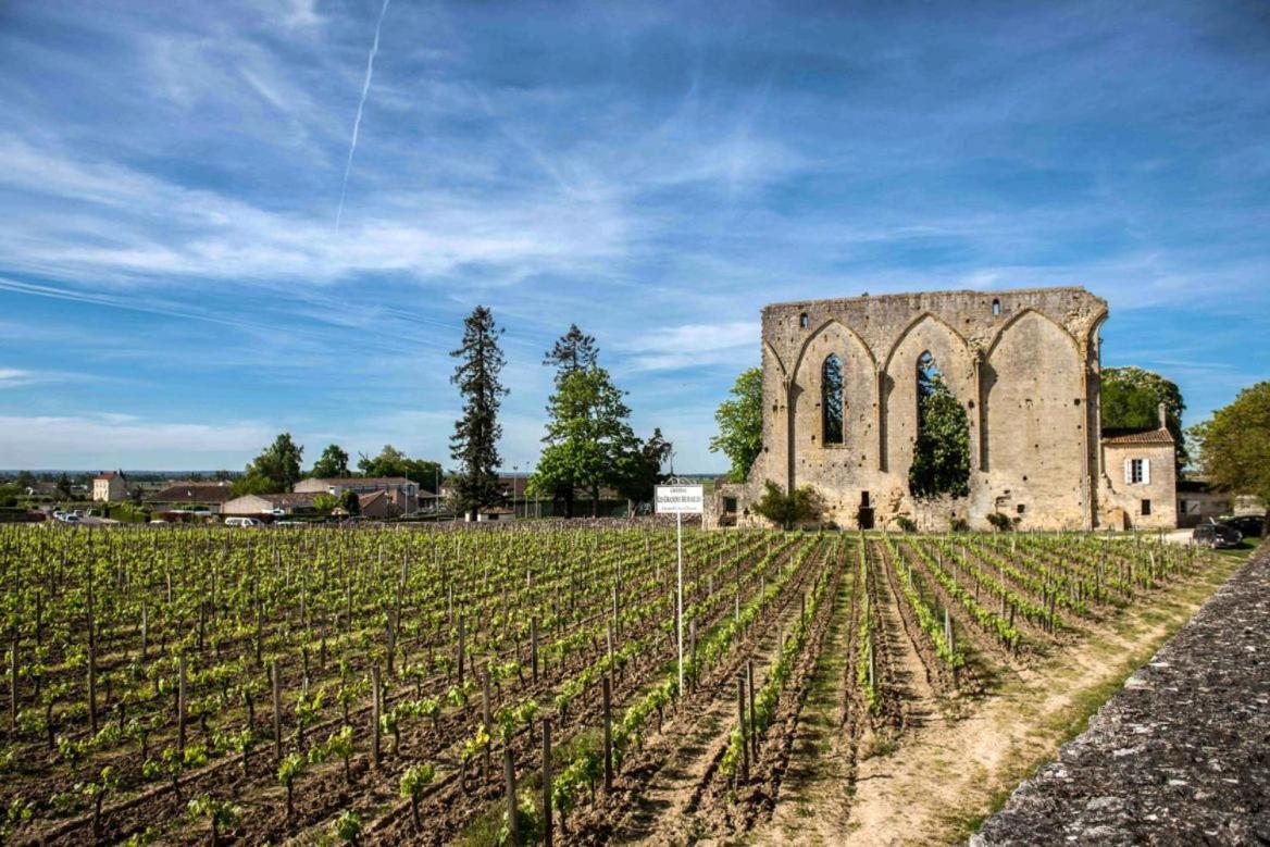 Maison Cosy Avec Vue Sur Les Vignes. Libourne Exteriör bild