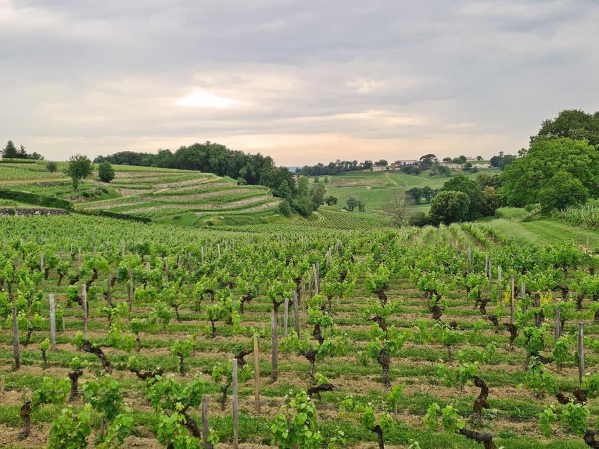 Maison Cosy Avec Vue Sur Les Vignes. Libourne Exteriör bild