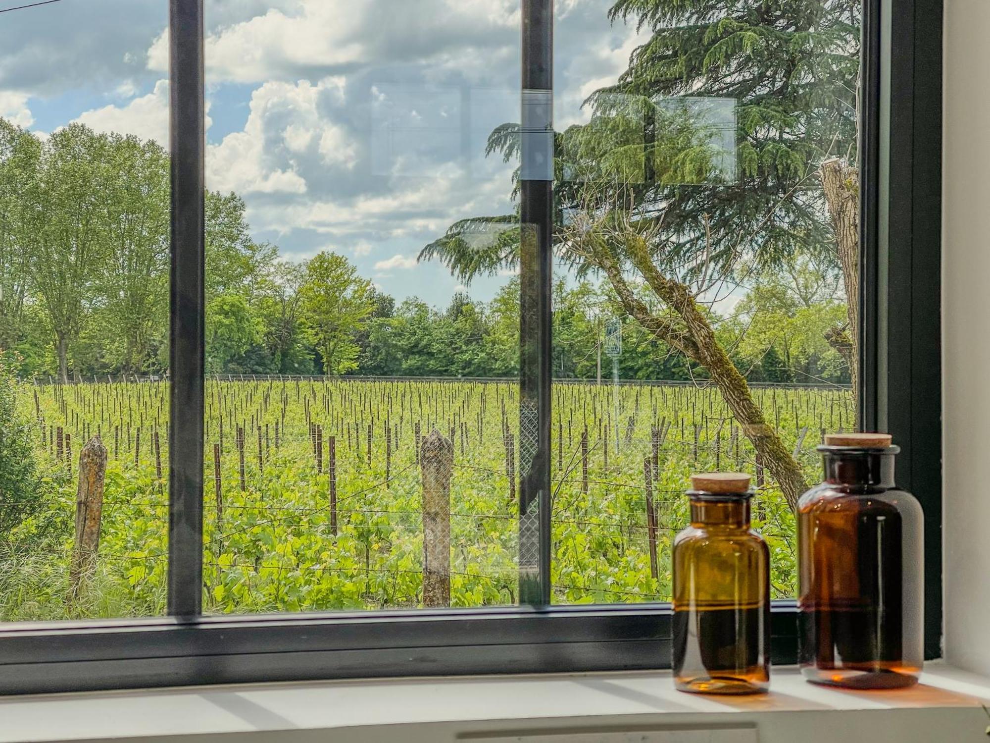 Maison Cosy Avec Vue Sur Les Vignes. Libourne Exteriör bild